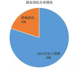 渤海大學(xué)中軟國際軟件與服務(wù)外包學(xué)院2018屆畢業(yè)生答辯圓滿結(jié)束