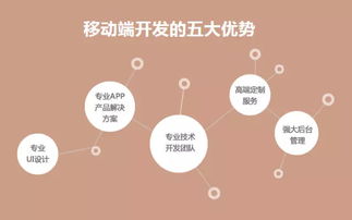 直擊軟件外包痛點(diǎn)，中科天基成就卓越服務(wù)