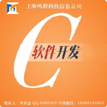 軟件定制、IT外包 服務(wù)解析、價(jià)格因素與廠商選擇指南